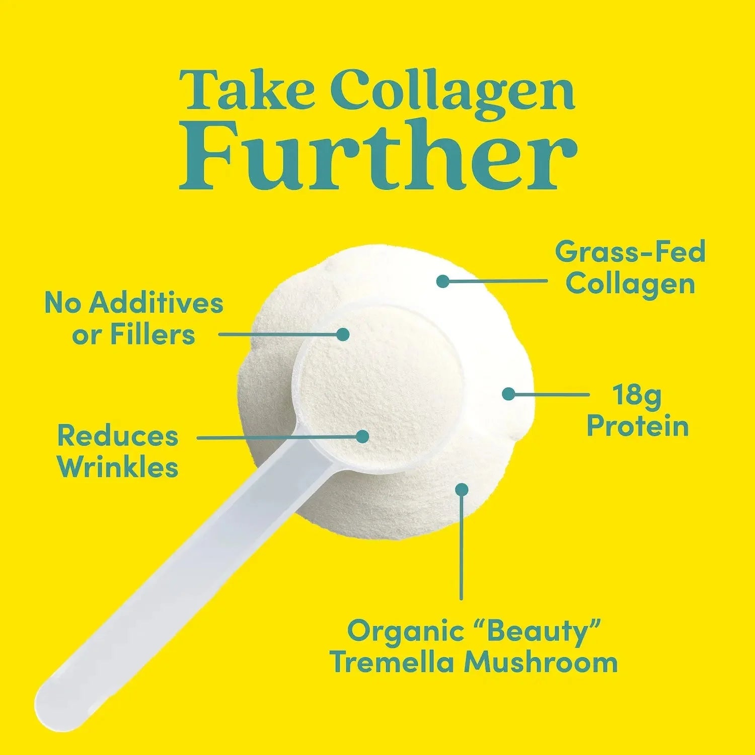 Vanilla Collagen Peptides Powder - 30 Servings